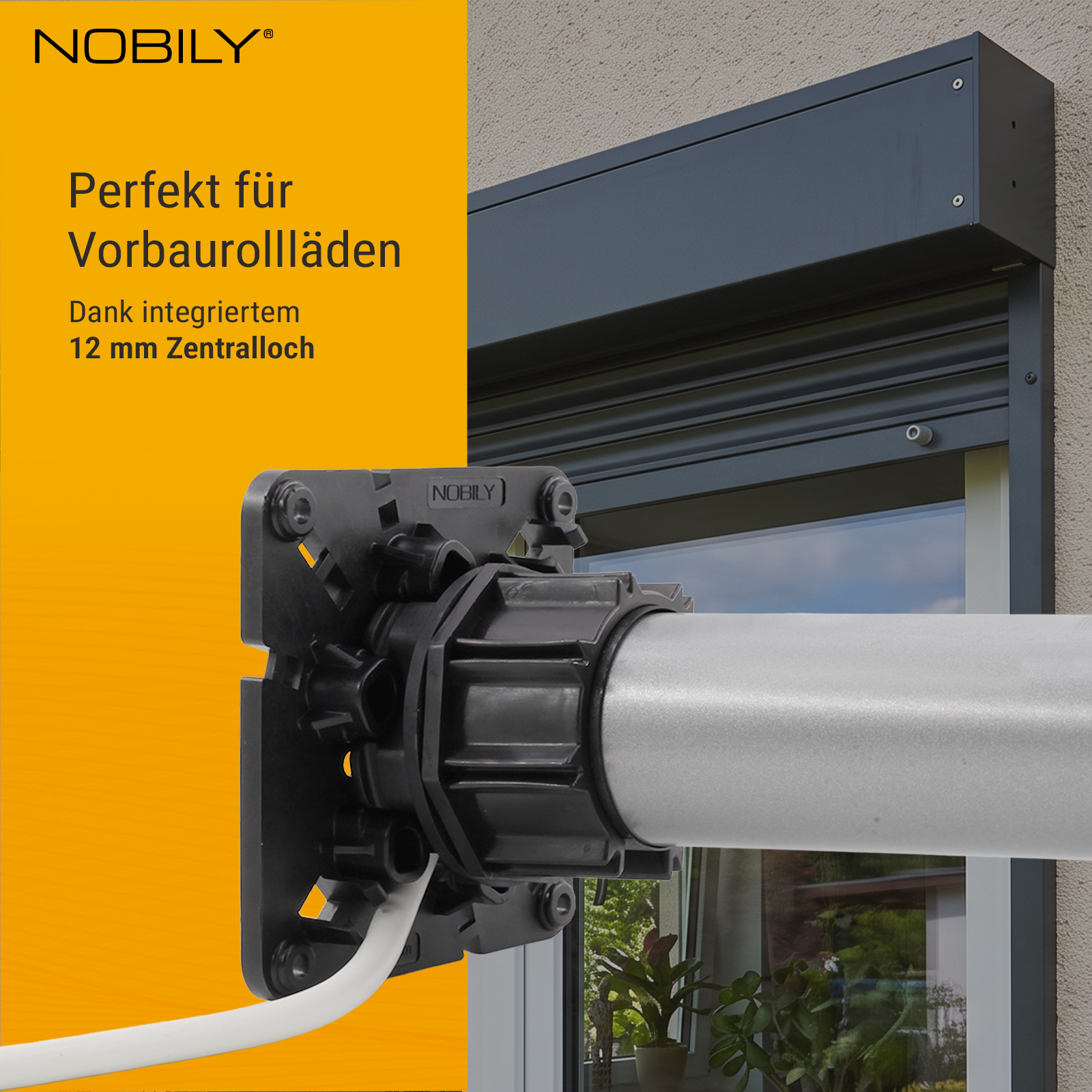 NOBILY window box bearing click bearing