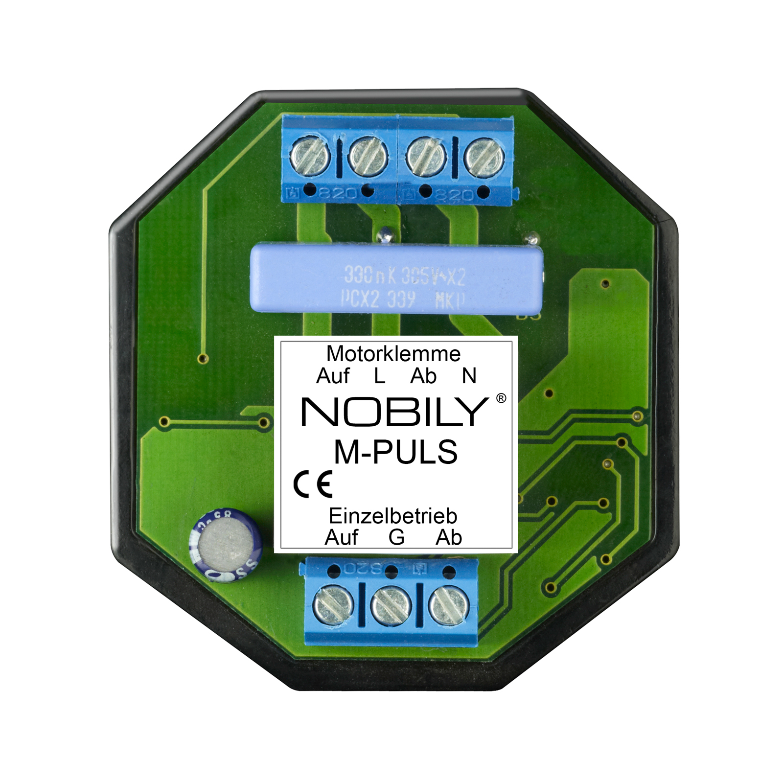 NOBILY-M-Puls-frontal